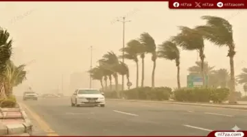 الأرصاد تحذر من رياح مثيرة للأتربة وارتفاع جديد للحرارة